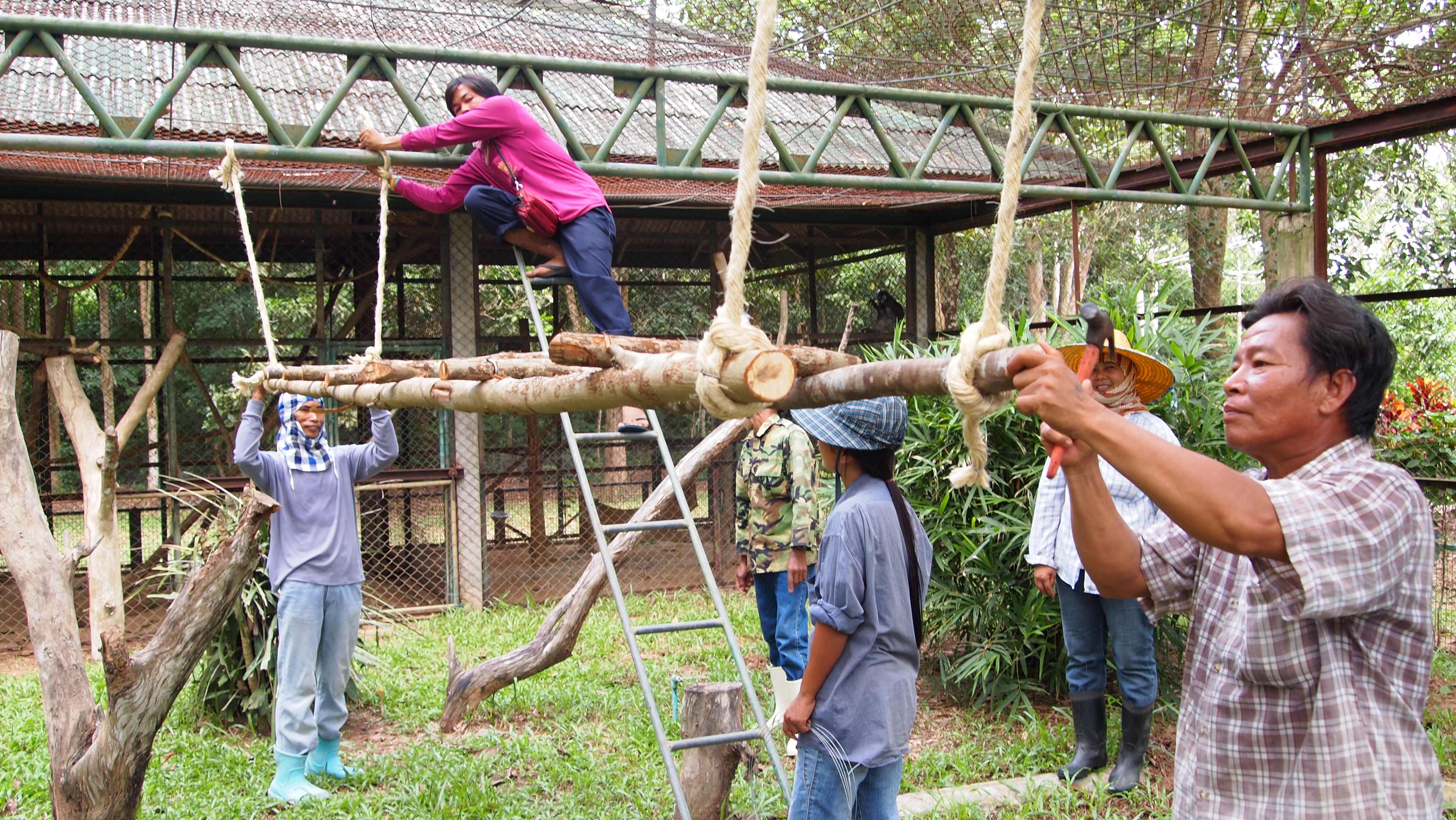 Environmental Enrichments