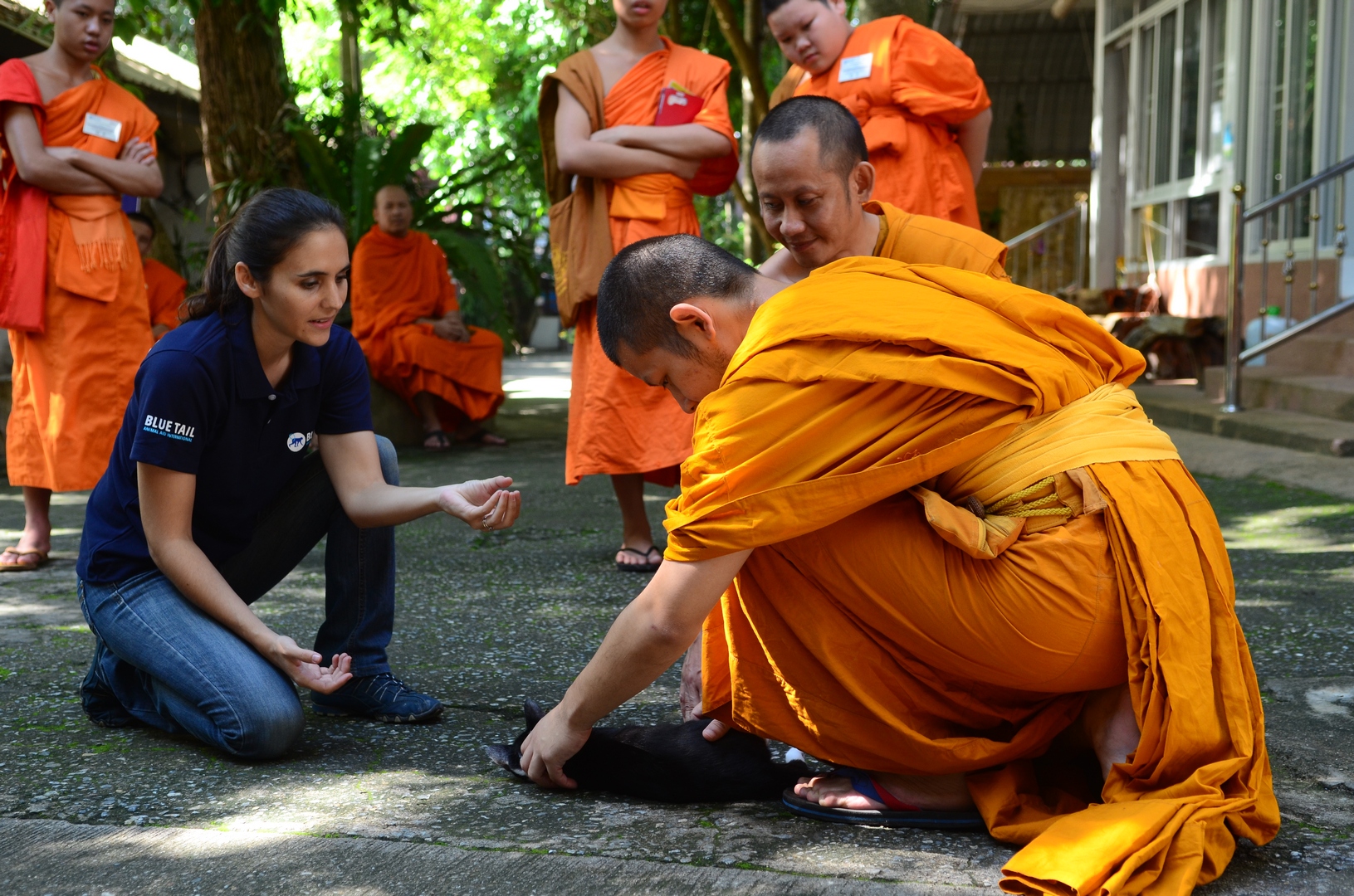 Animal welfare and humane handling training for monks