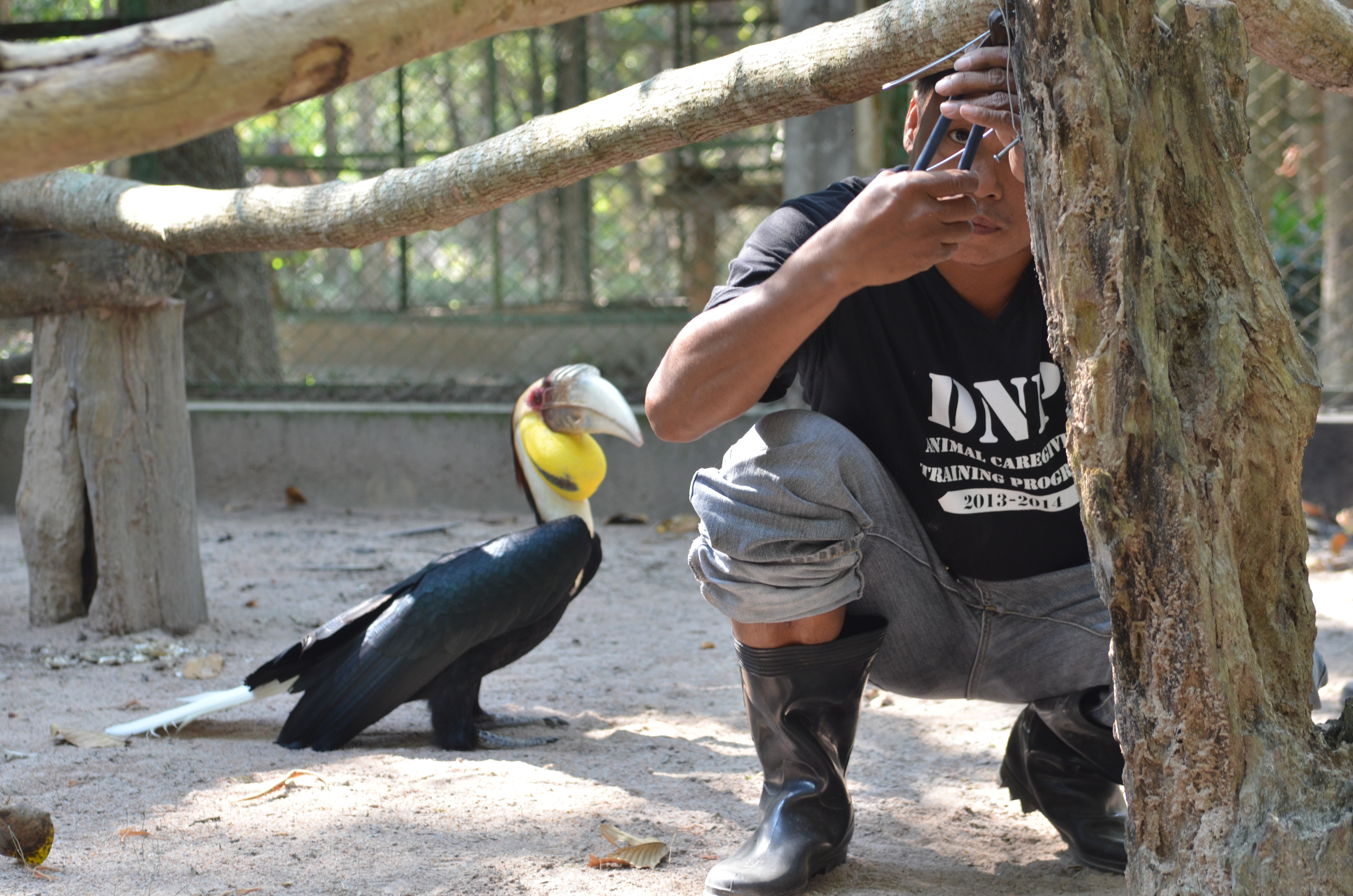 Formation des soigneurs animaliers