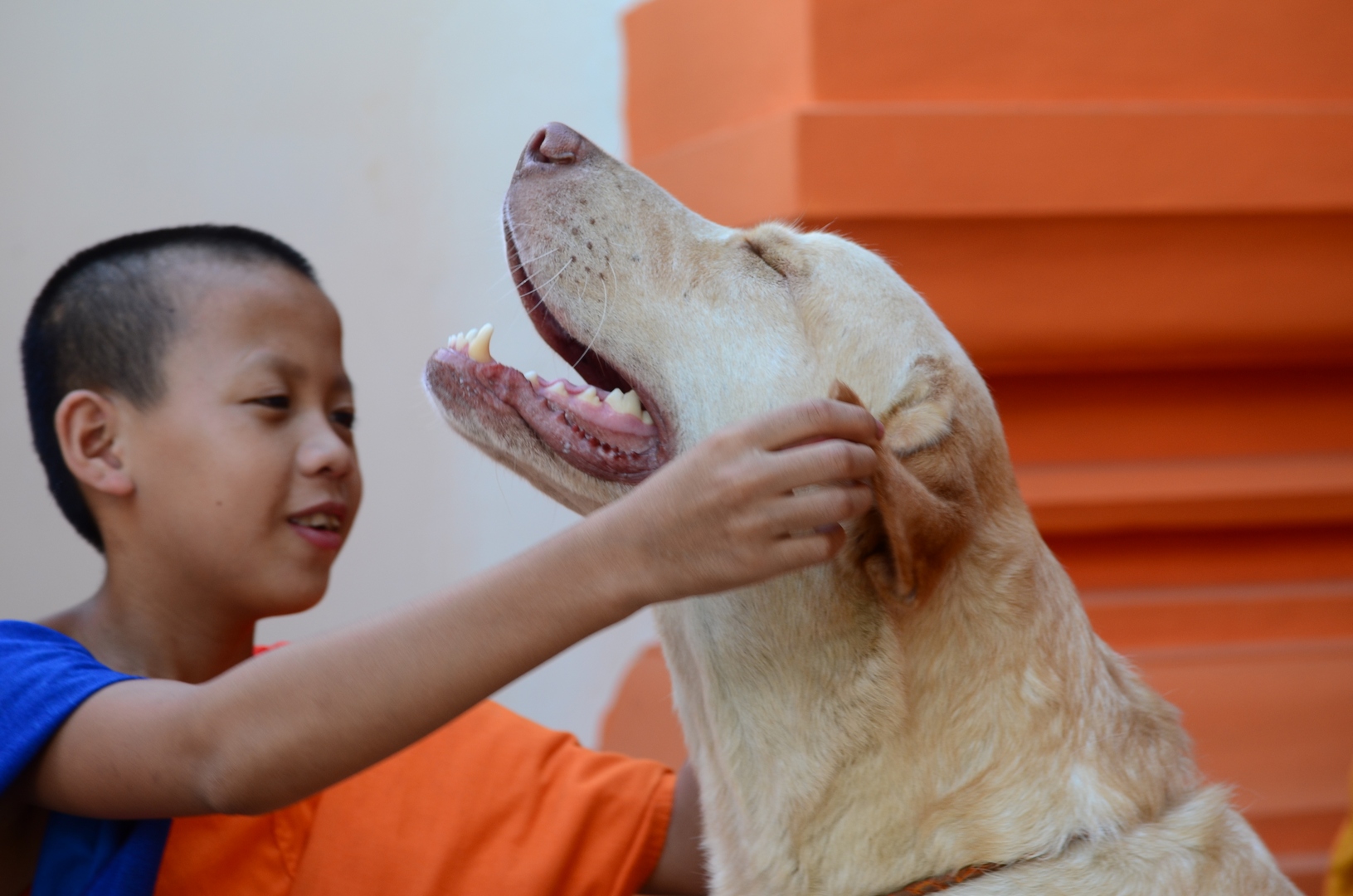 Jeune moine et son chien